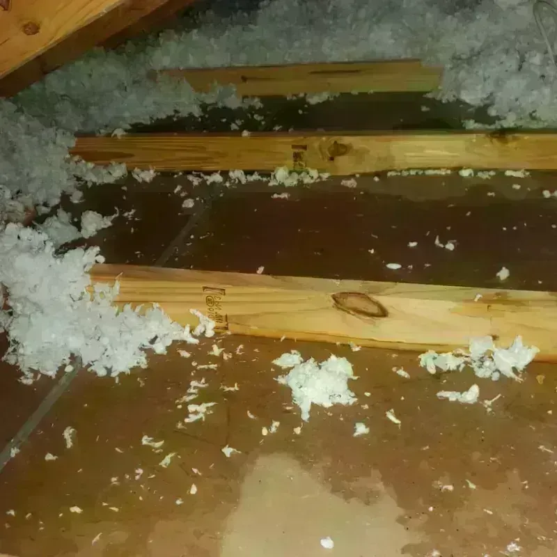 Attic Water Damage in Seffner, FL