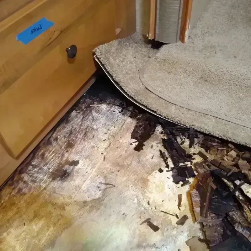 Wood Floor Water Damage in Seffner, FL